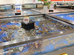 水产区-盒马鲜生(和谐广场店)