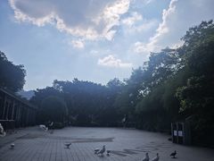-磁器口古镇