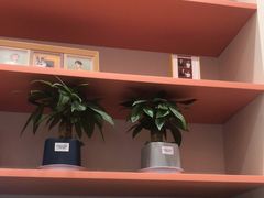 -海马体照相馆(厦门SM城市广场店)