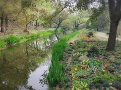 -上海共青森林公园