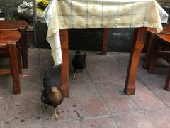 -伊隆斋(什刹海店)