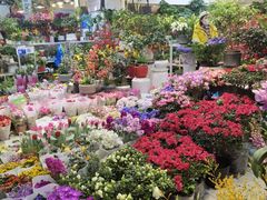 -双季花艺园艺市场(浦东店)