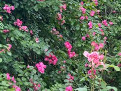 -上海交通大学(闵行校区)