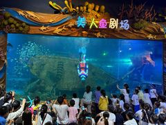 -太奥幻太奇海洋馆