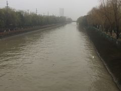 -小杨生煎(湟普汇店)