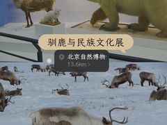 -国家自然博物馆