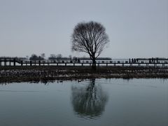 -苏州太湖湖滨国家湿地公园
