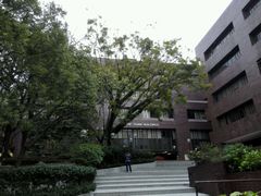 -香港大学