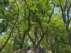 -栾川竹海野生动物园