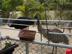 -三亚亚龙湾天域度假酒店