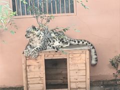 -青藏高原野生动物园