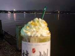 -西湖游船