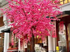 -秘密旅行Bonjour(黑金冠 江南西店)