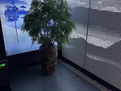 -上足·影院足道·SPA(红岭店)