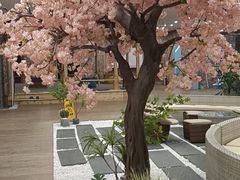 -东方之珠洗浴休闲广场(南开店)
