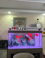 -安院长·产后恢复·徒手骨盆(先天下店)