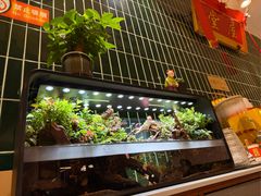 -堂屋糖水店(愚园店)