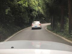 -武陵山森林公园