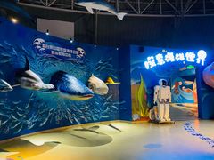 -烟台海昌鲸鲨海洋公园