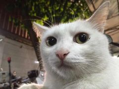 -周幺妹重庆老火锅(银泰城总店)