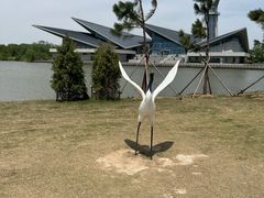 -盐城丹顶鹤湿地生态旅游区