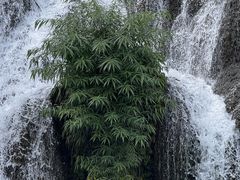 -天河潭旅游度假区