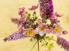 -叠溪松坪沟景区