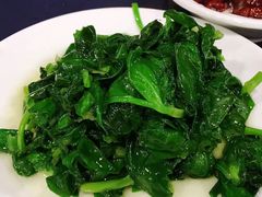 -老吉士酒家(天平路店)