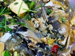 鱼头炖豆腐-连池鱼豆味坊(风景区店)