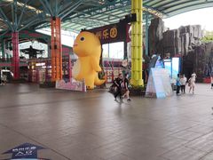 -杭州浪浪浪水公园