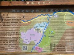-汤旺河林海奇石景区