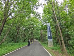-青龙山国家森林公园