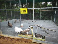 -福建鲤鱼洲酒店