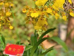 -广州文化公园
