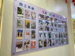 -全心全意连锁动物医院·微创中心·内科急重症·心脏专科(丰管路店)