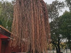 -北京市劳动人民文化宫(太庙)