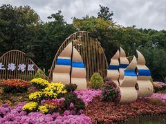 -上海共青森林公园