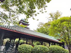 -桂湖森林公园