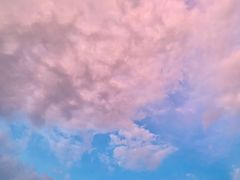 -蜜雪冰城·冰淇淋与茶(福大店)