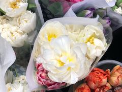 -循礼门鲜花花市(武汉循礼门店)