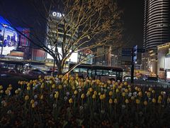 -天天玩X秋葉原日系动漫游戏中心