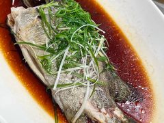 -唐御宴•御宴宫•唐代菜点(芙蓉西路店)