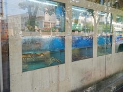 -启东海鲜人家(古美路店)