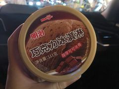 明治巧克力冰淇淋-跃进雪糕(跃进路店)