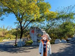 -千佛山风景名胜区