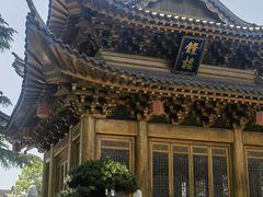 -上海东林寺(金山区)