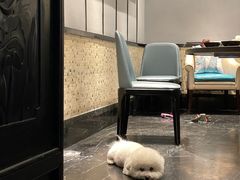 -王家渡火锅(三苏祠店)