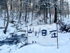 -峡谷浮石林景区