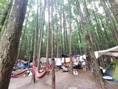 -山王坪喀斯特国家生态公园
