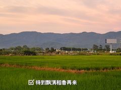 -正宗鸡饭粤香酒家(朱村店)